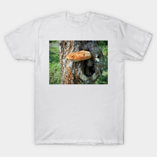 Mushroom on tree trunk T-Shirt